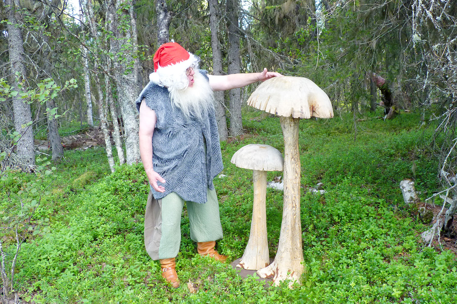 Tonttu-sienet