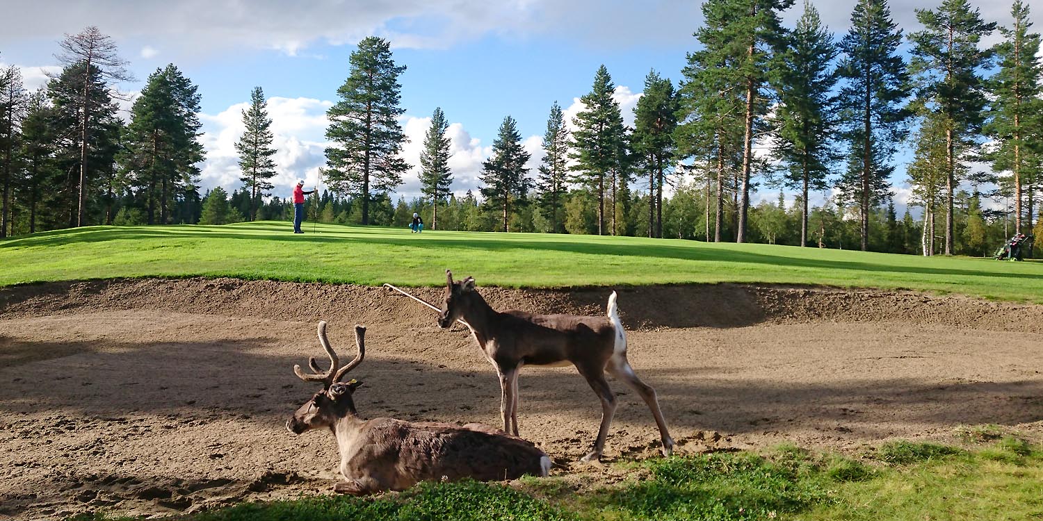 Golf in Levi - Levi Center Hullu Poro